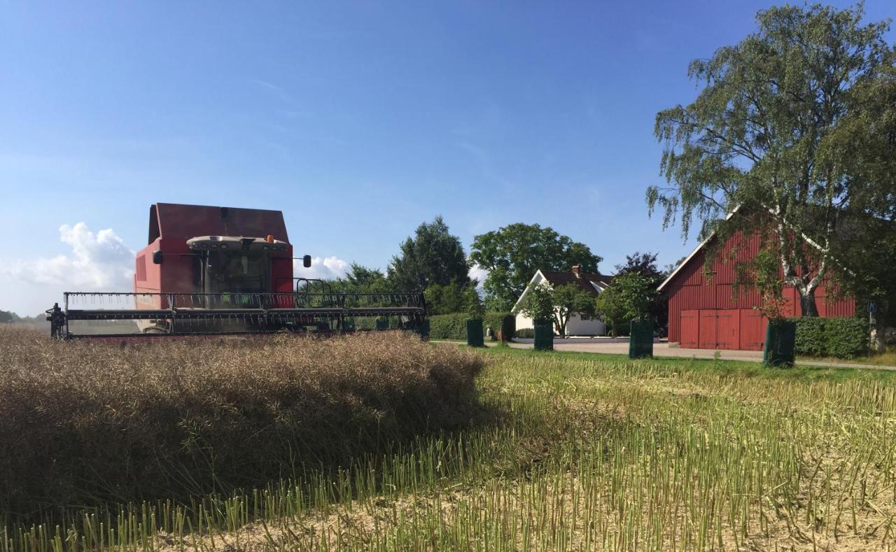 Lyckas Gards Gaestboende Höganäs Extérieur photo
