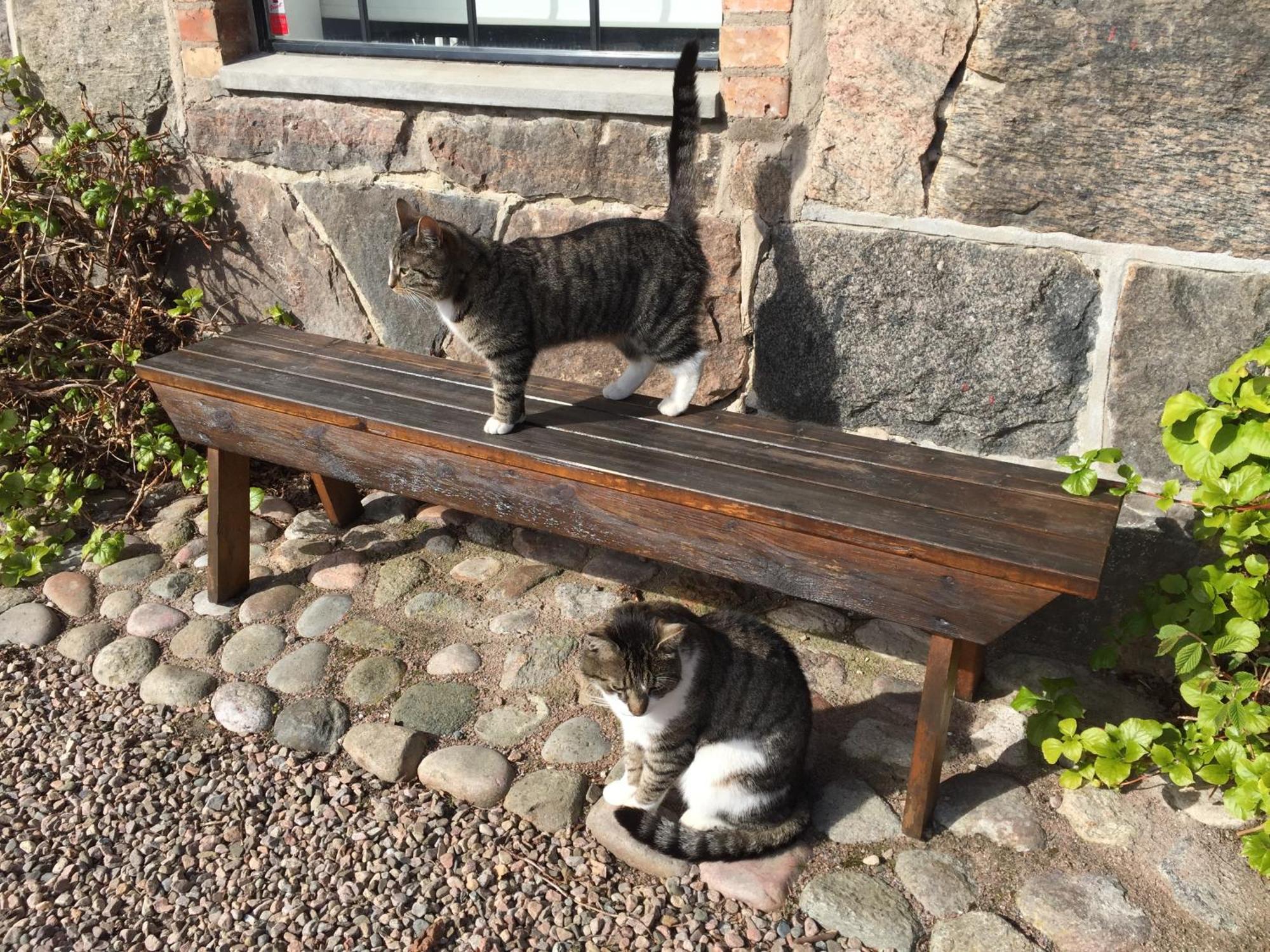 Lyckas Gards Gaestboende Höganäs Extérieur photo