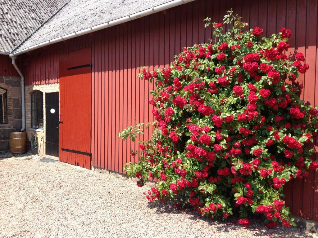 Lyckas Gards Gaestboende Höganäs Extérieur photo